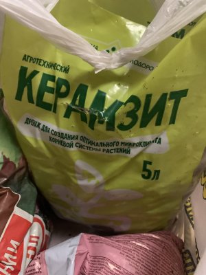 IMG_7689.jpeg