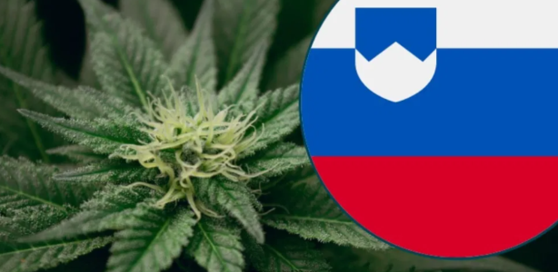 Снимок экрана 2025-04-25 173409.png