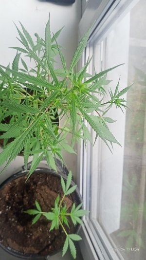 Se06qkKOg70.jpg