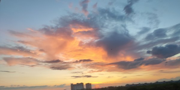 P50531-204651 (1).jpg