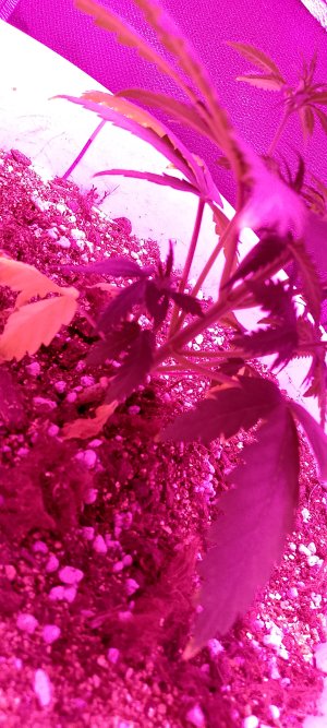 1000003865.jpg 1000003865.jpg