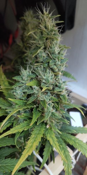 P50608-195818 (1).jpg