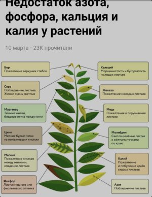 IMG_3438.jpeg