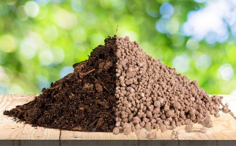 otlichiya-organicheskih-udobrenij-ot-mineralnyh__6AKrcUK5SZtSbXTo.jpg