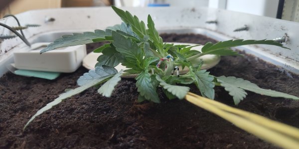 P50714-174006 (1).jpg