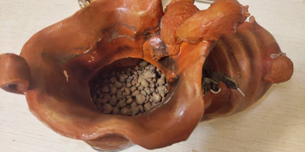 P50731-232055 (1).jpg