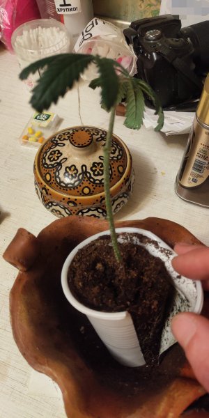 P50731-232645 (1)(1).jpg