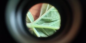 P50819-170333 (1).jpg