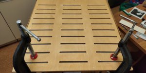 P50830-220507 (1).jpg