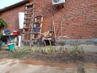 IMG_20251003_093350.jpg