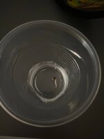 IMG_0619.JPG