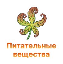 pitatelniye veschestva-100.jpg