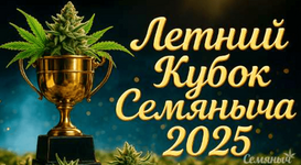 1763542106890.png 1763542106890.png