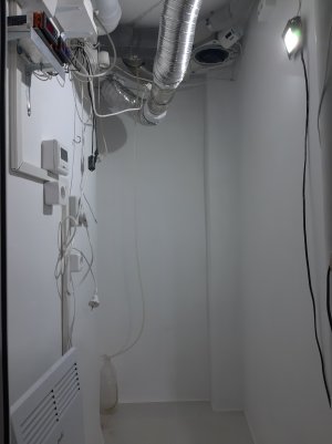 20220228_130856.jpg 20220228_130856.jpg