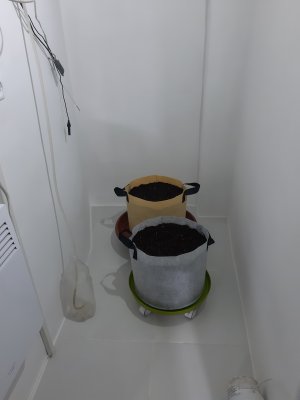 20220613_214556.jpg 20220613_214556.jpg