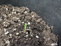 IMG_0357.jpeg