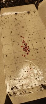 IMG_20260408_024512.jpg IMG_20260408_024512.jpg