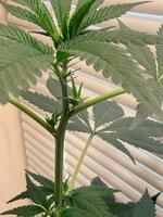 WhatsApp Image 2026-04-13 at 16.18.44.jpeg