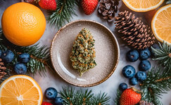 Terruar-i-terpeny__S01fWzSCWZTsvcc1.jpg