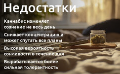 nedostatki-ispolzovaniya-kannabisa-utrom__QwsaGEGSa0Y98jaG.jpg