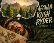Afghan Kush Ryder