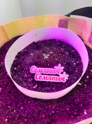 20220614_104802.jpg 20220614_104802.jpg