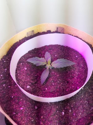 20220614_124809.jpg 20220614_124809.jpg