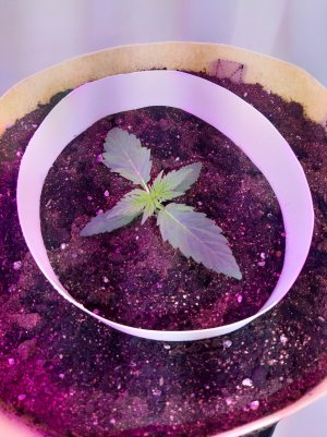 20220614_125357.jpg 20220614_125357.jpg