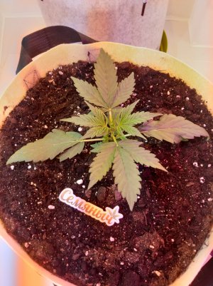 20220614_135357.jpg 20220614_135357.jpg