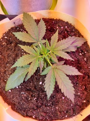 20220614_135635.jpg 20220614_135635.jpg