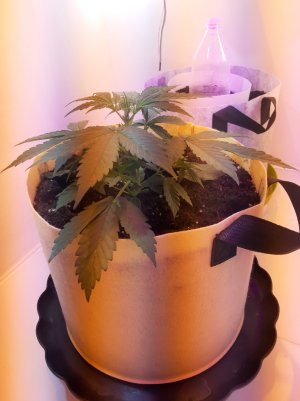 20220614_140909.jpg 20220614_140909.jpg