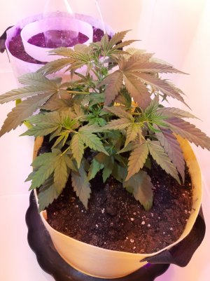 20220614_222113.jpg 20220614_222113.jpg