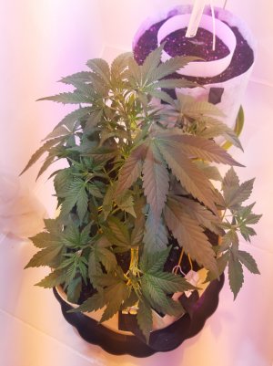 20220614_234121.jpg 20220614_234121.jpg