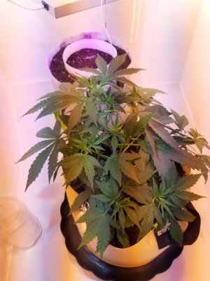 20220614_234109.jpg 20220614_234109.jpg