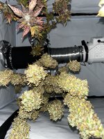 Легендарные калаши