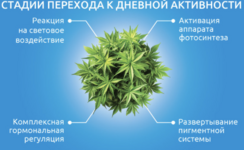 1780500549036.png