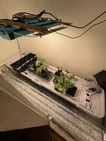 IMG_4615.jpeg