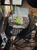 IMG_3030.jpeg
