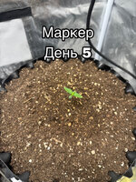 02B866E8-F8B9-4065-8102-C2C564194B7A.jpeg