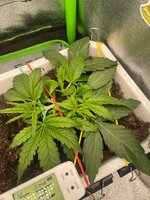photo_1_2026-10-03_21-49-37.jpg