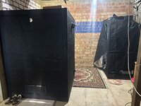 IMG_3954.jpeg