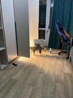 ITZK6029.JPG