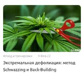 1000135439.jpg