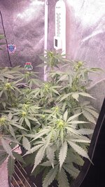 IMG_7045.jpeg
