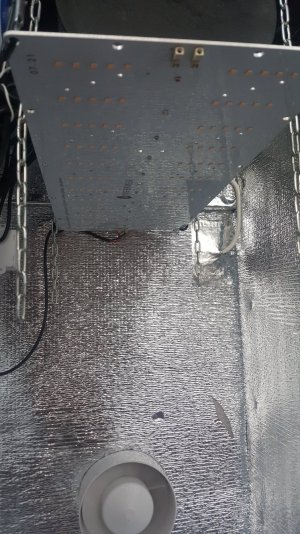 20220709_204321.jpg