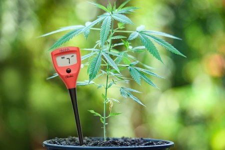 Кислотность почвосмеси для выращивания конопли