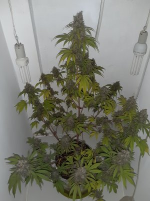 20220710_164455.jpg