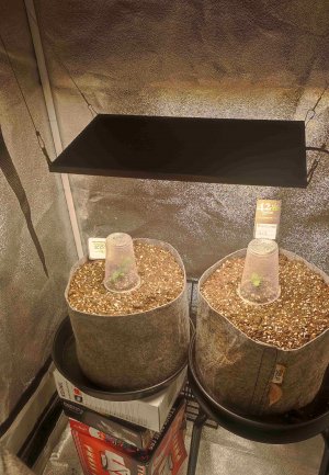 imgonline-com-ua-CompressBySize-bFbsMXXeDRm.jpg imgonline-com-ua-CompressBySize-bFbsMXXeDRm.jpg