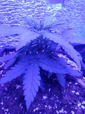 photo_2022-08-02_08-58-15 (2).jpg