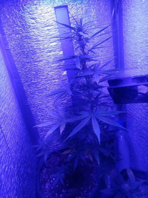 photo_2022-09-03_09-12-55 (3).jpg